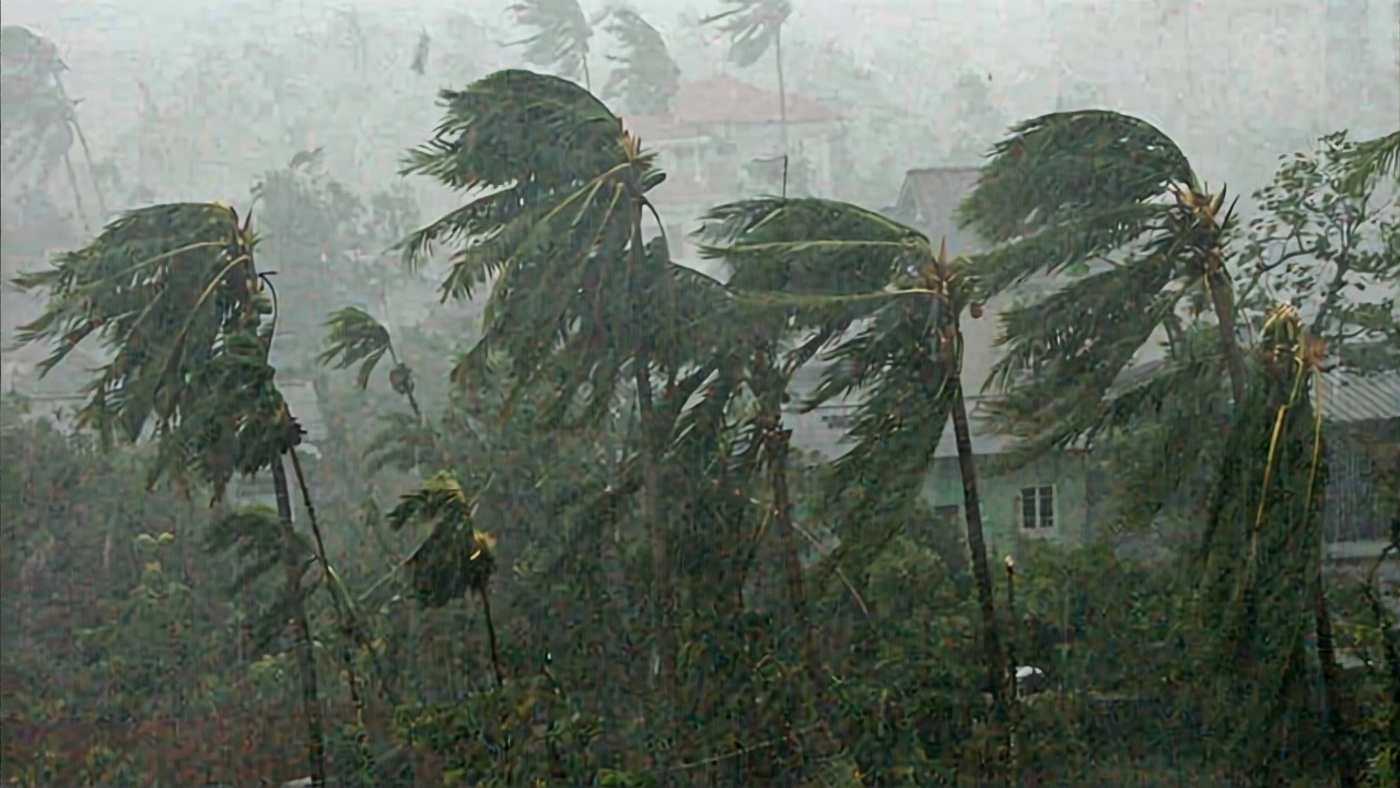 क्या ये मौसम दिल्ली के लिए अच्छा है?